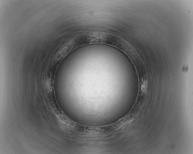 X0000089340819200706221115