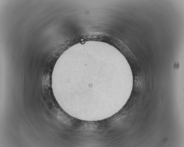 X0000089340820200706221115