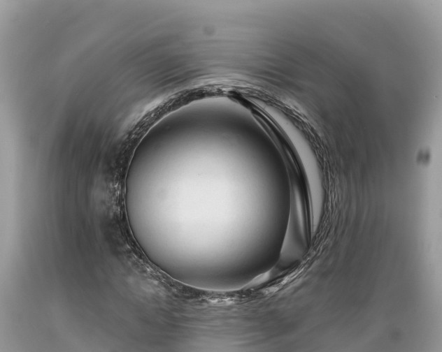 X0000089340822200706221115