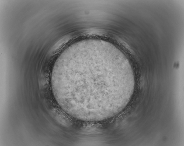 X0000089340824200706221115