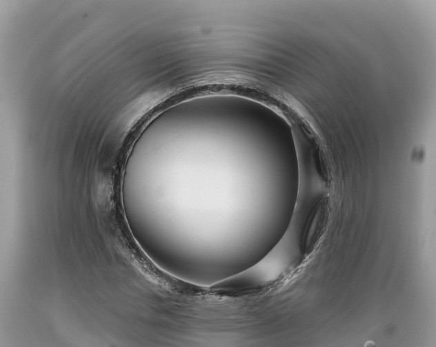 X0000089340826200706221115
