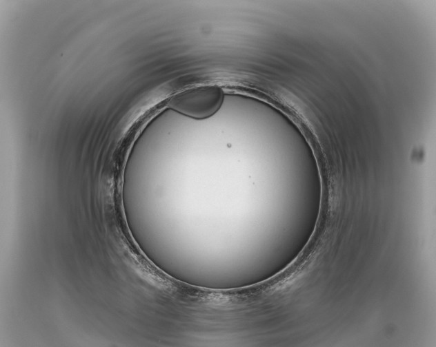 X0000089340827200706221115
