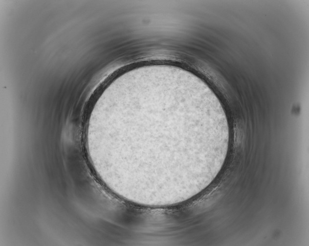 X0000089340828200706221115