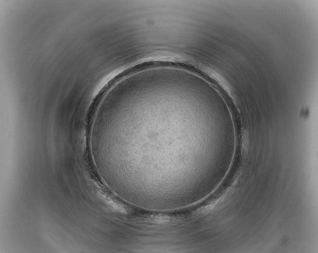 X0000089340829200706221115