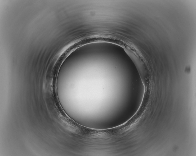 X0000089340830200706221116