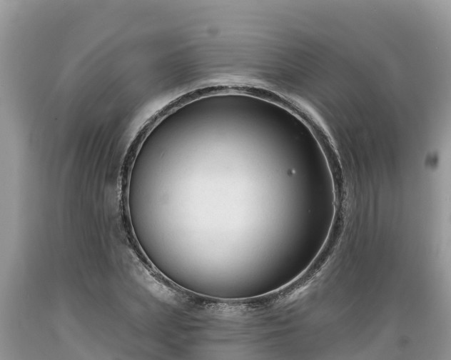 X0000089340831200706221116