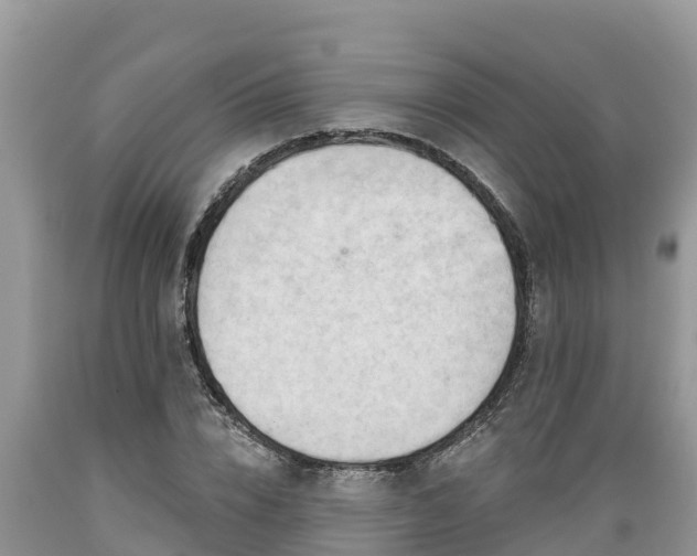 X0000089340832200706221116