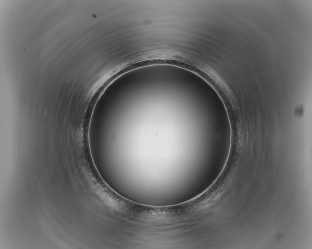 X0000089340834200706221116