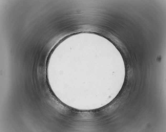 X0000089340836200706221116