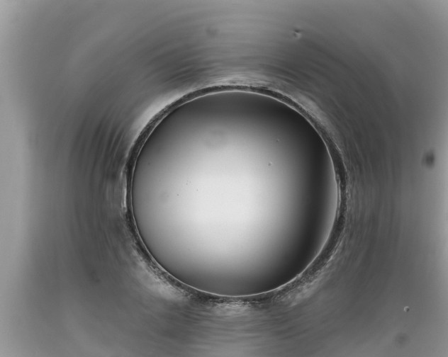 X0000089340838200706221116