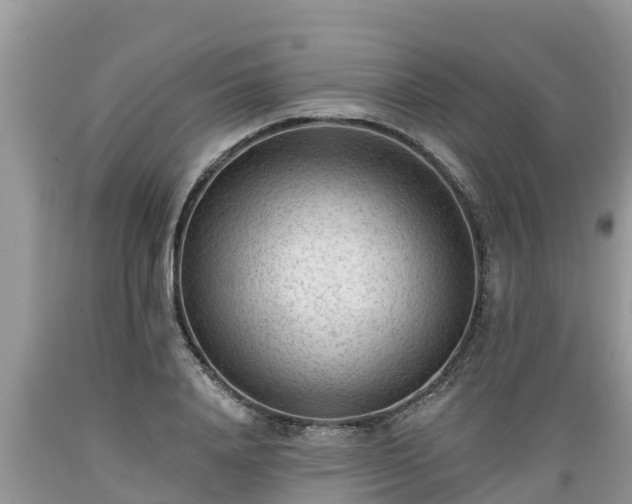 X0000089340840200706221116