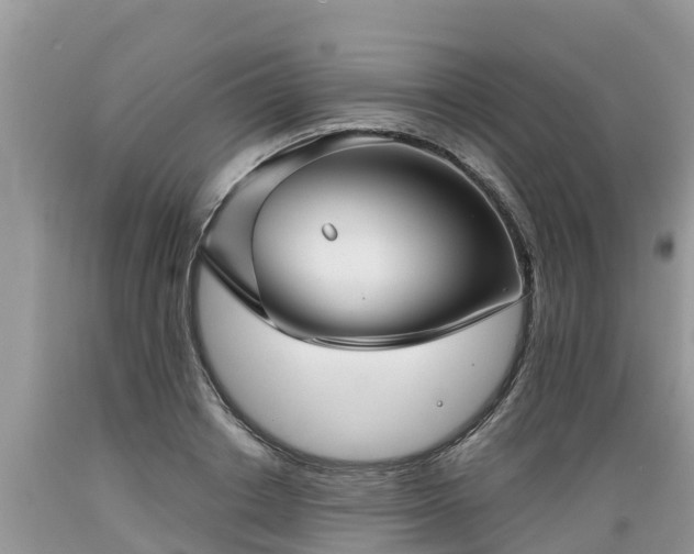 X0000089340842200706221116