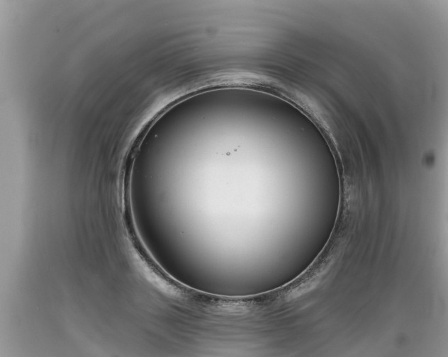 X0000089340843200706221116