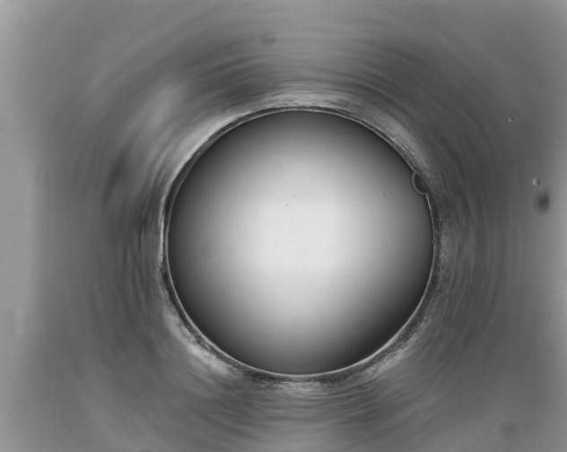 X0000089340844200706221116