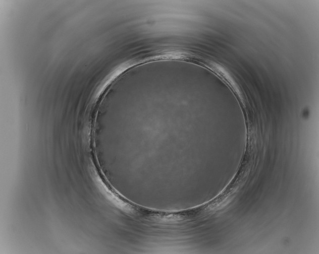 X0000089340851200706221116