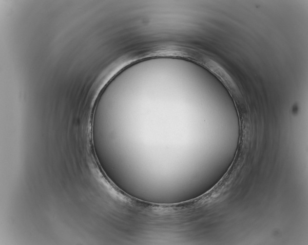 X0000089340852200706221116