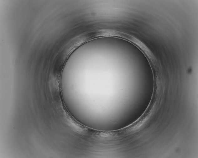 X0000089340857200706221116
