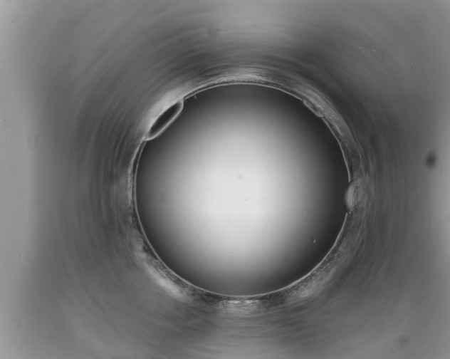 X0000089340858200706221116