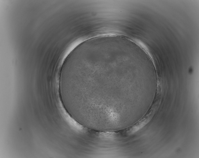 X0000089340859200706221116