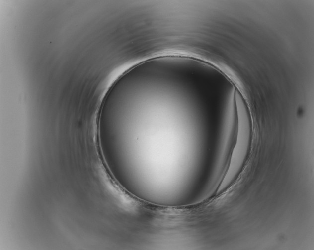 X0000089340862200706221116