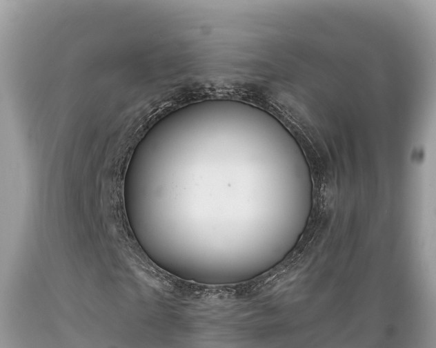 X0000089340865200706221115