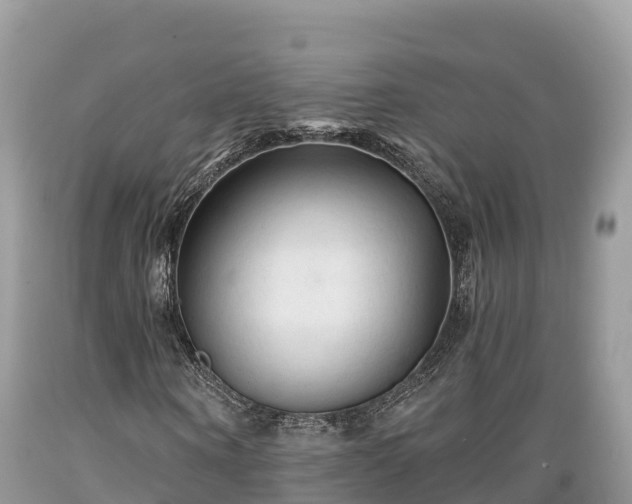 X0000089340866200706221115