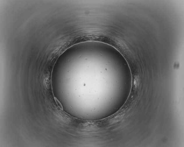 X0000089340867200706221115