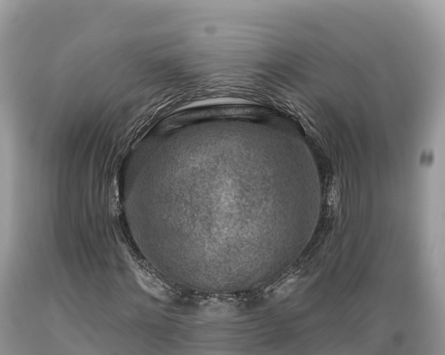 X0000089340868200706221115