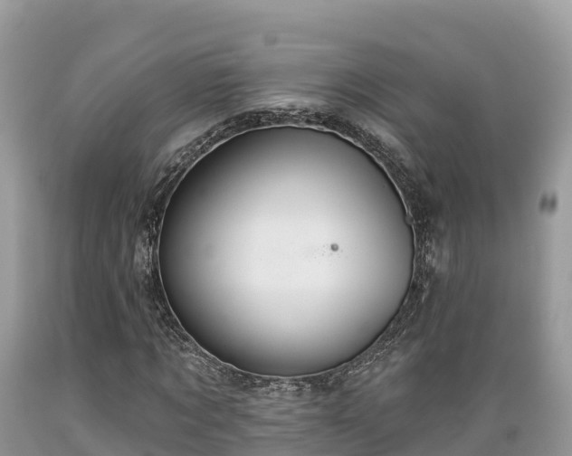 X0000089340869200706221115