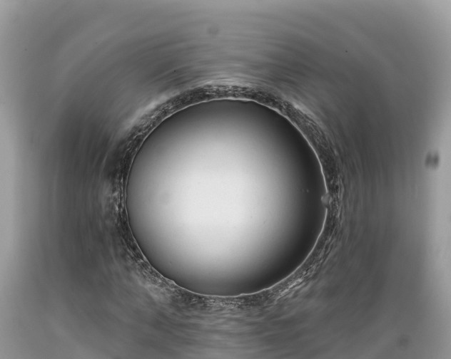 X0000089340870200706221115