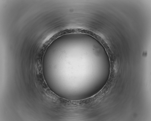 X0000089340871200706221115