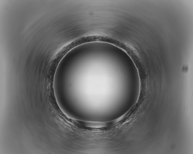 X0000089340872200706221115