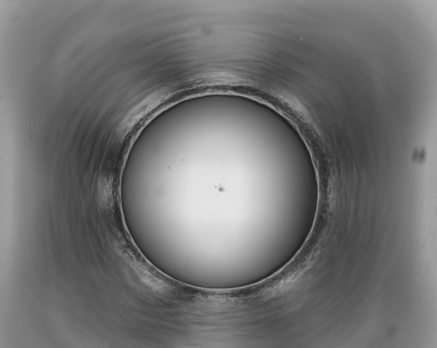 X0000089340873200706221115