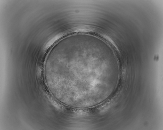 X0000089340874200706221115