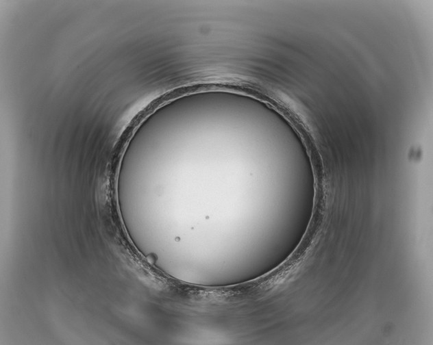 X0000089340875200706221115