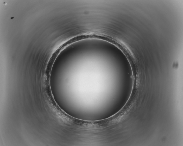 X0000089340876200706221115