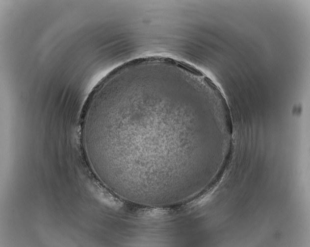 X0000089340879200706221115