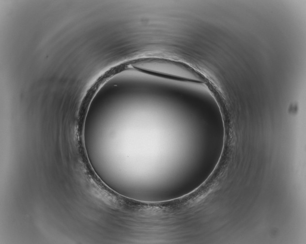 X0000089340880200706221115