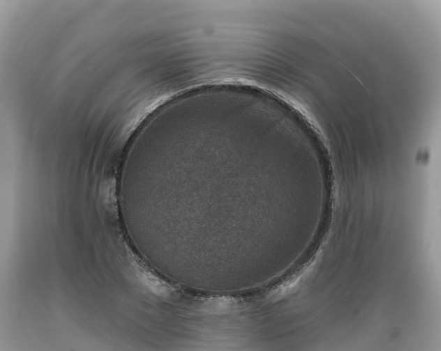 X0000089340881200706221115