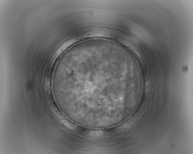 X0000089340882200706221115