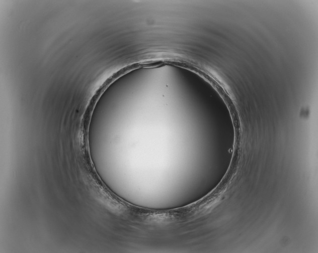 X0000089340883200706221115