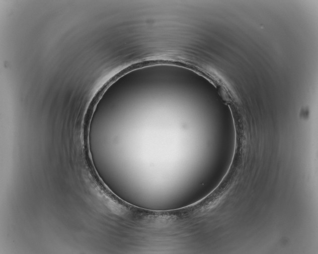X0000089340884200706221115