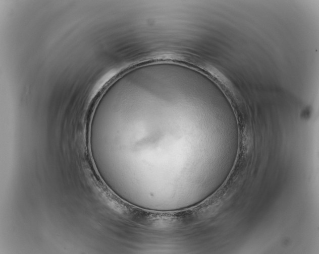 X0000089340886200706221115