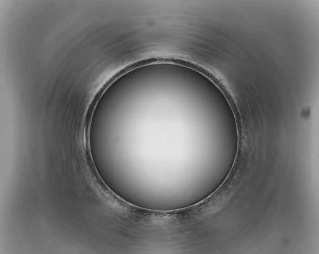 X0000089340887200706221115