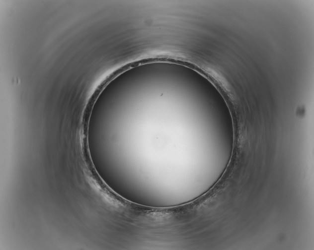 X0000089340888200706221115