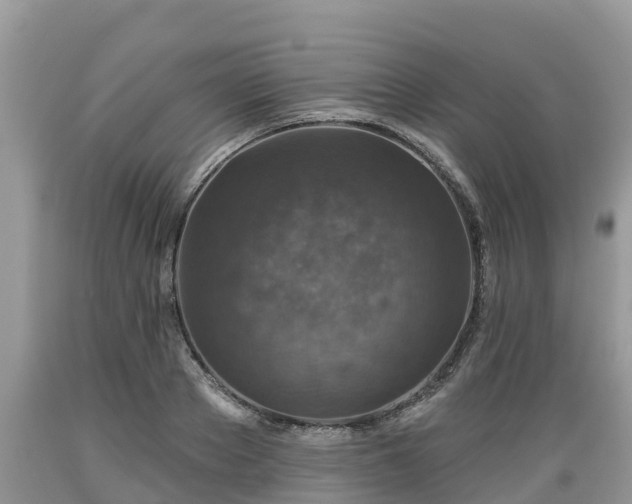 X0000089340889200706221115