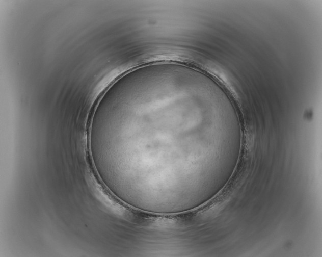 X0000089340890200706221115