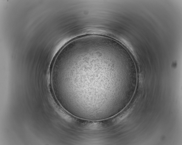 X0000089340891200706221115