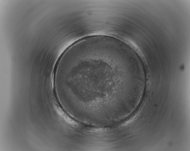 X0000089340892200706221115