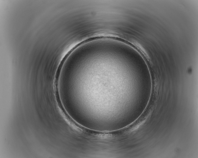 X0000089340893200706221115
